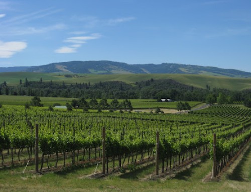 10 new Walla Walla wineries and tasting rooms to visit Cayuse Weekend