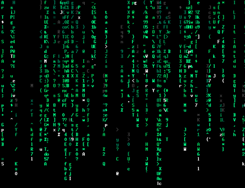 Celebrate Cyber Monday at Northwest Wine Report!