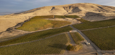 Elephant-Mountain-Vineyard-400×193