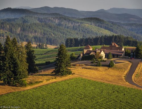 Looking back at Oregon’s “ideal” 2024 growing season