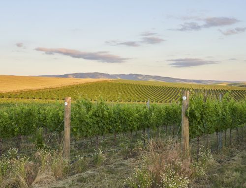 Enter Jackson Family’s Washington winery: Jett