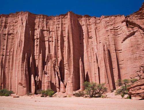 Seven reasons it’s a miracle anyone gets interested in wine