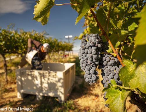 Summary of articles November 2025