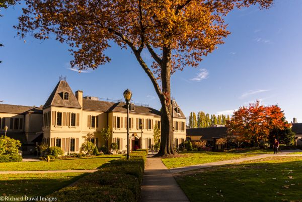 Chateau Ste. Michelle