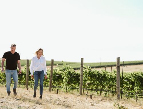 How Peter Devison became a Sauvignon Blanc savant