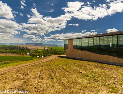 What’s new in Walla Walla Valley