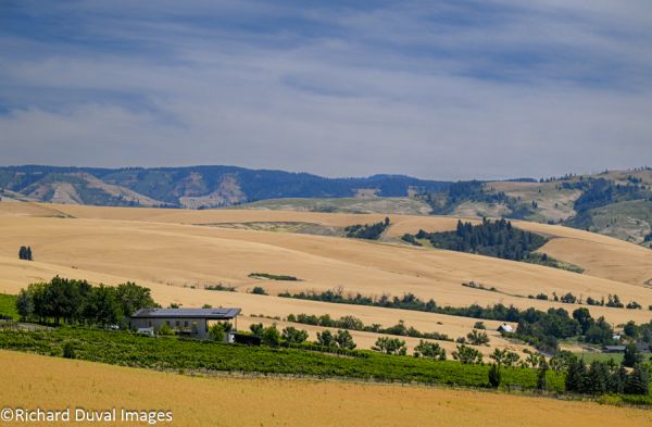 new Walla Walla wineries