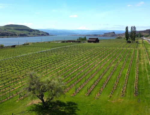 Columbia Hills, Washington’s newest appellation: The who, what, where, and why