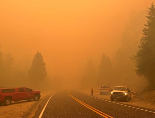 Wineries across Northwest impacted by smoke, wildfires