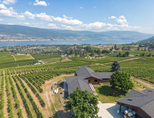 The Bald Range Fire through one B.C. winery’s eyes