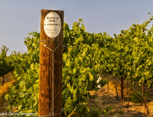 Enter, Columbia Valley Vermentino