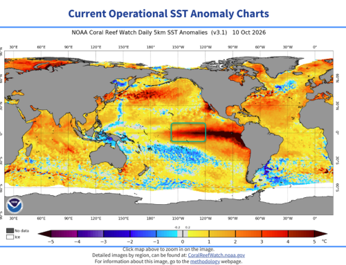 The much-anticipated El Niño is here. What will it mean for winter in the Pacific Northwest?